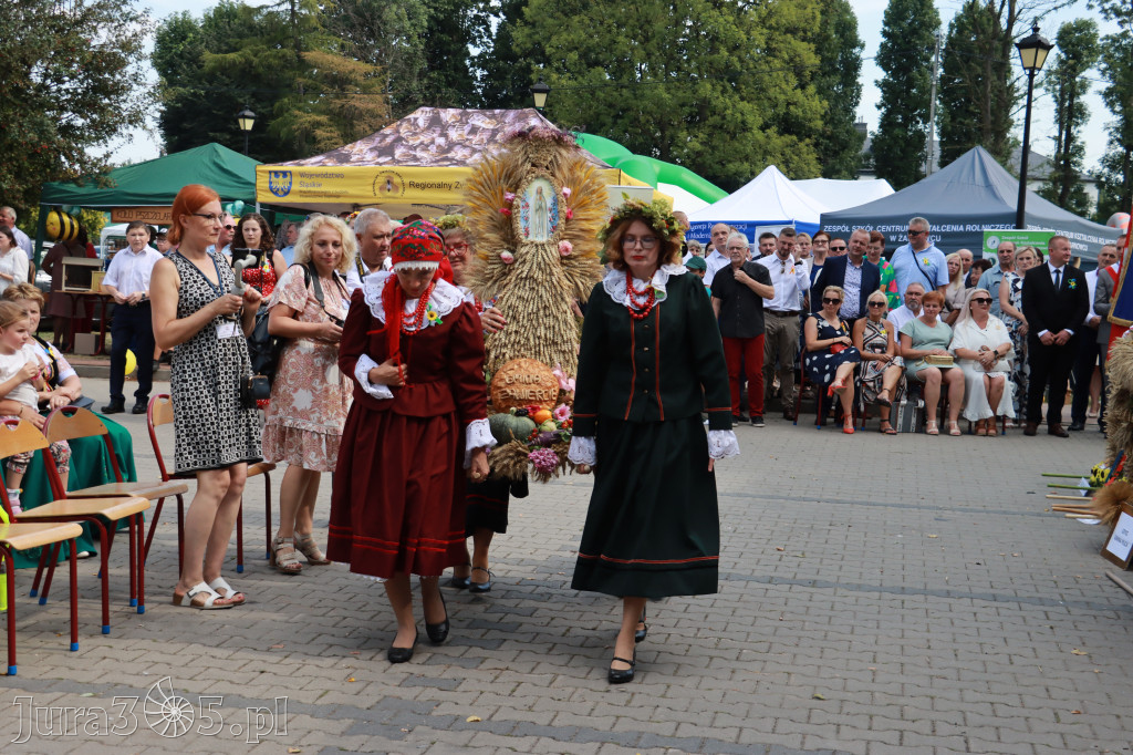 Fotorelacja I: XXV Powiatowe Dożynki w Irządzach
