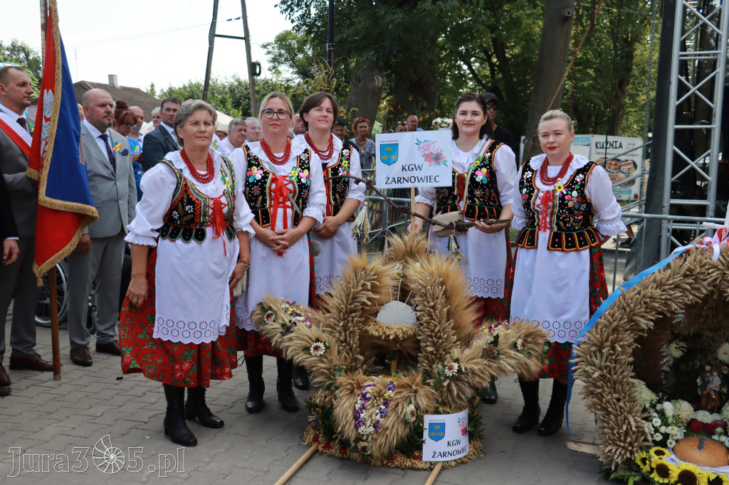 Fotorelacja I: XXV Powiatowe Dożynki w Irządzach