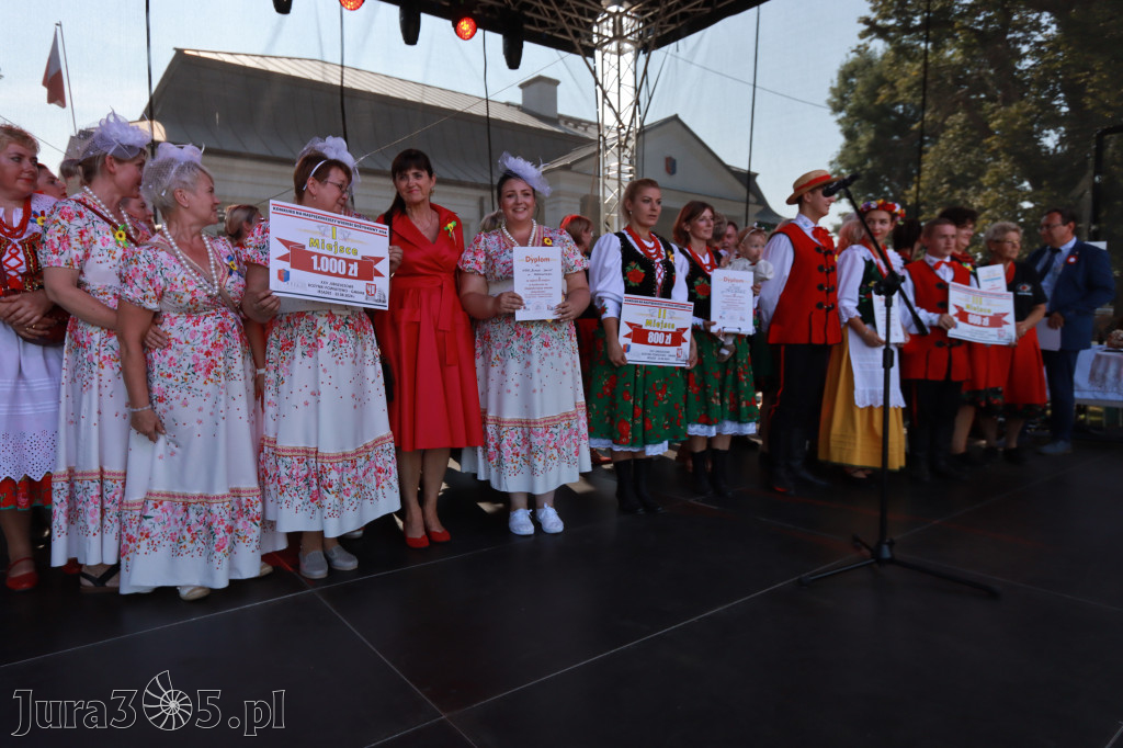 Fotorelacja I: XXV Powiatowe Dożynki w Irządzach