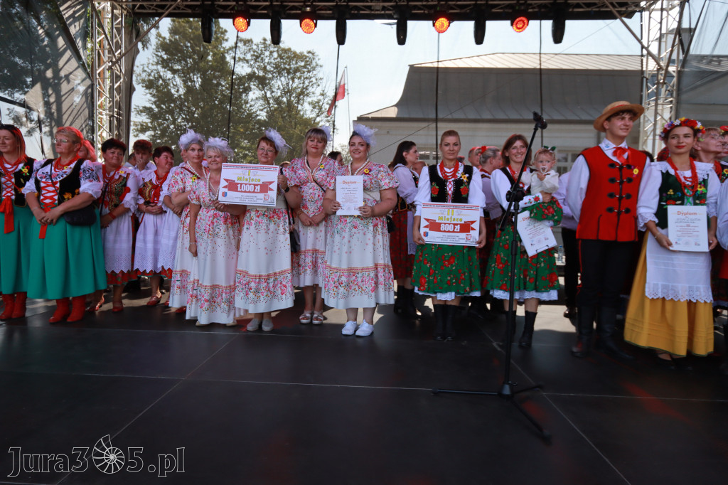 Fotorelacja I: XXV Powiatowe Dożynki w Irządzach