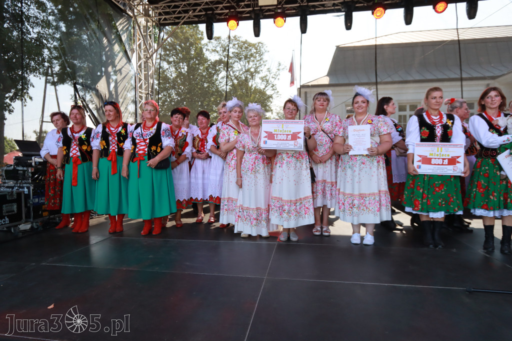 Fotorelacja I: XXV Powiatowe Dożynki w Irządzach