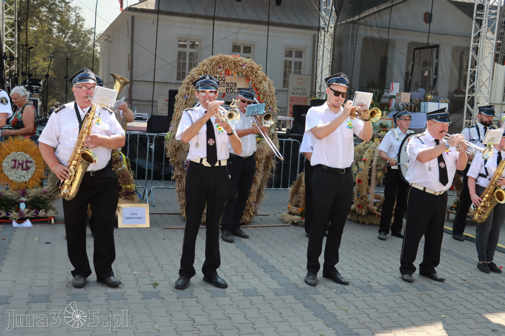 Fotorelacja II: XXV Powiatowe Dożynki w Irządzach