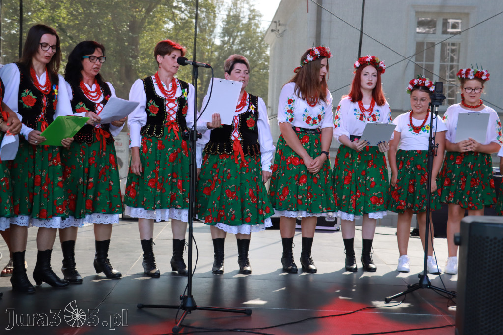 Fotorelacja II: XXV Powiatowe Dożynki w Irządzach