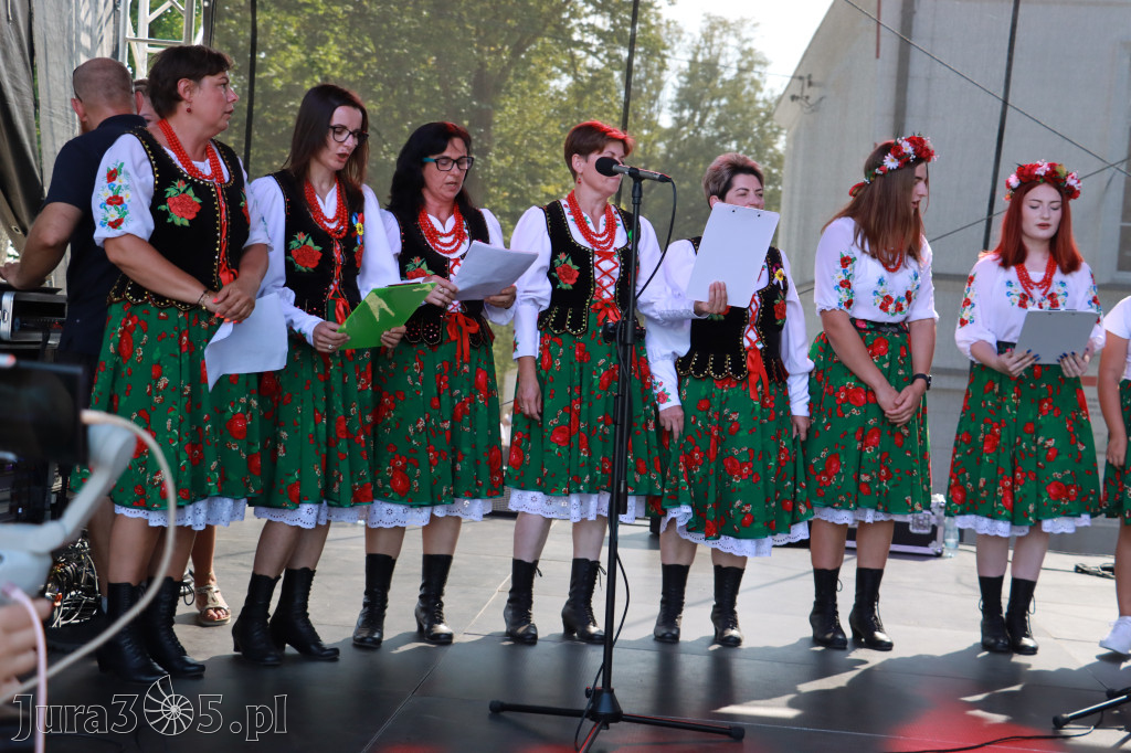 Fotorelacja II: XXV Powiatowe Dożynki w Irządzach