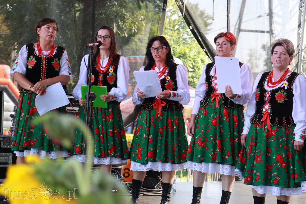 Fotorelacja II: XXV Powiatowe Dożynki w Irządzach