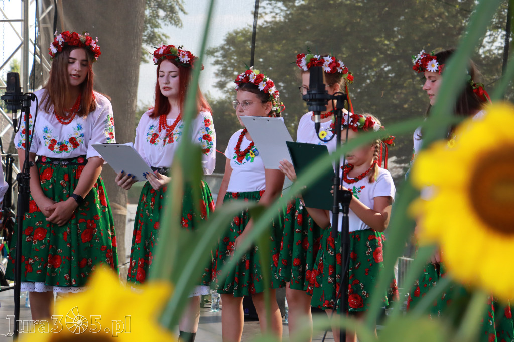 Fotorelacja II: XXV Powiatowe Dożynki w Irządzach