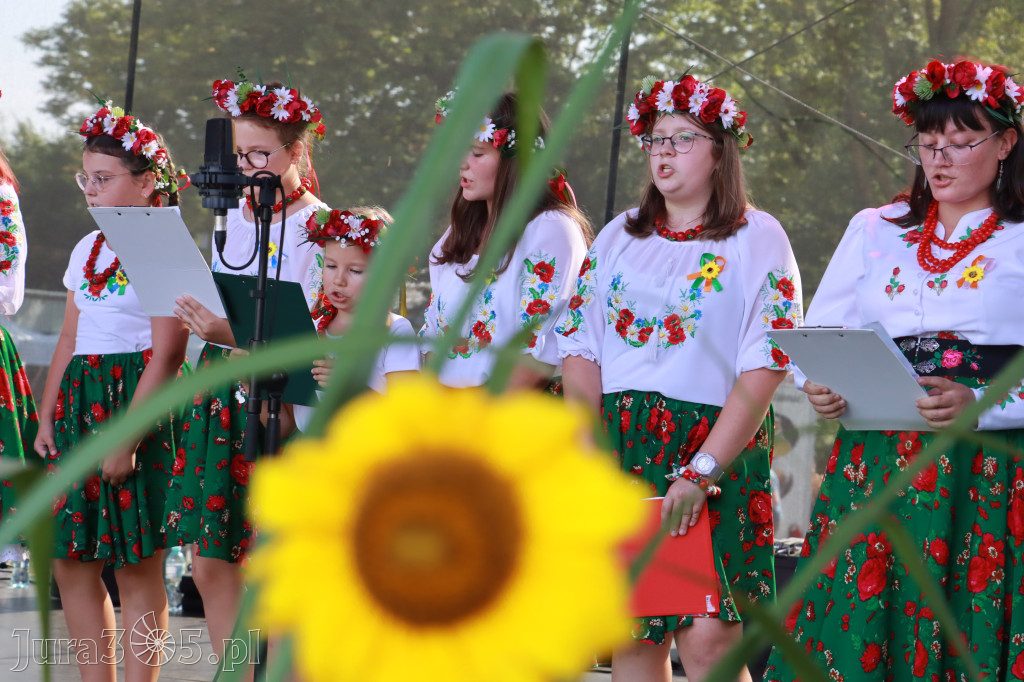 Fotorelacja II: XXV Powiatowe Dożynki w Irządzach