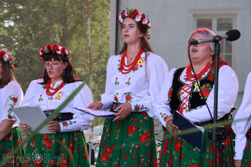 Fotorelacja II: XXV Powiatowe Dożynki w Irządzach