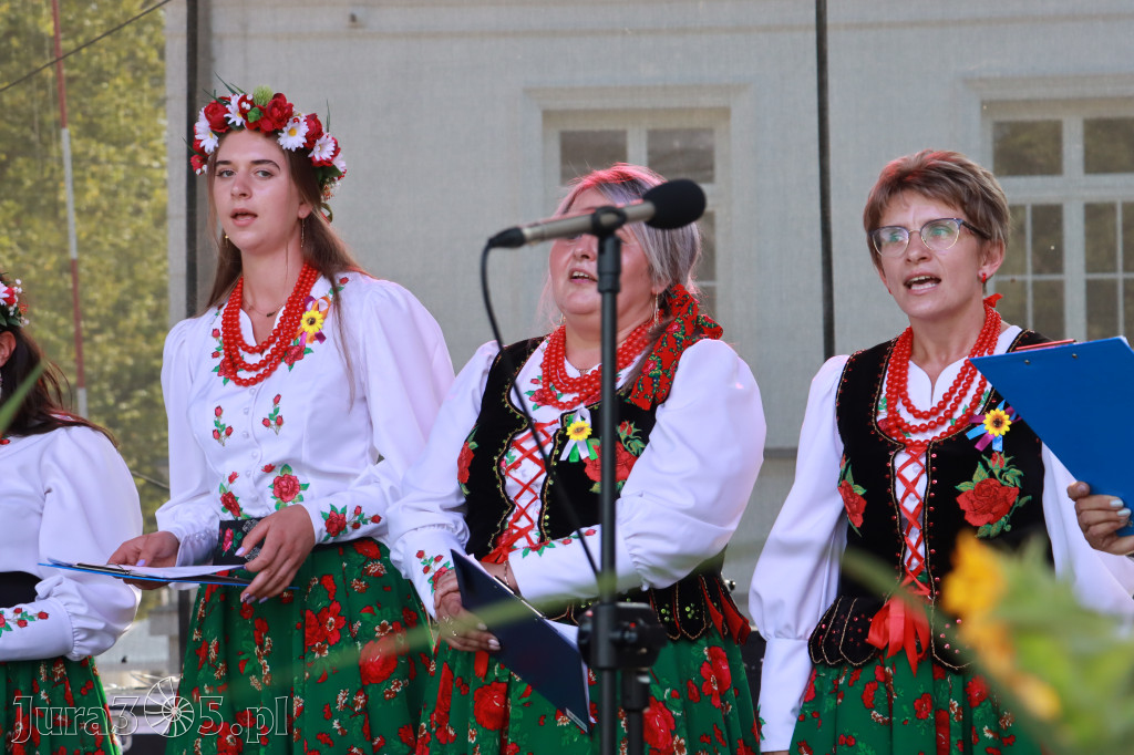 Fotorelacja II: XXV Powiatowe Dożynki w Irządzach