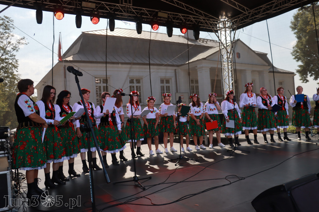 Fotorelacja II: XXV Powiatowe Dożynki w Irządzach