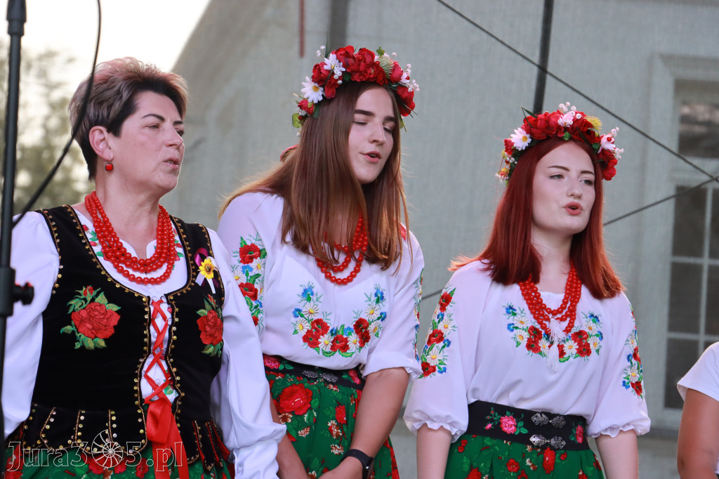Fotorelacja II: XXV Powiatowe Dożynki w Irządzach
