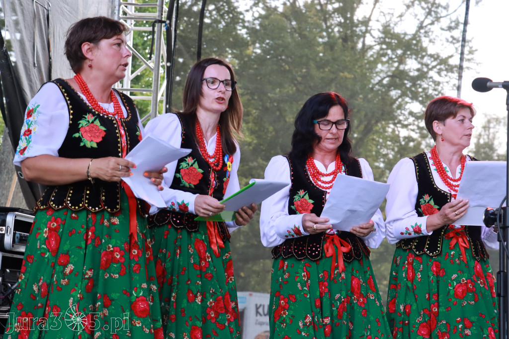 Fotorelacja II: XXV Powiatowe Dożynki w Irządzach