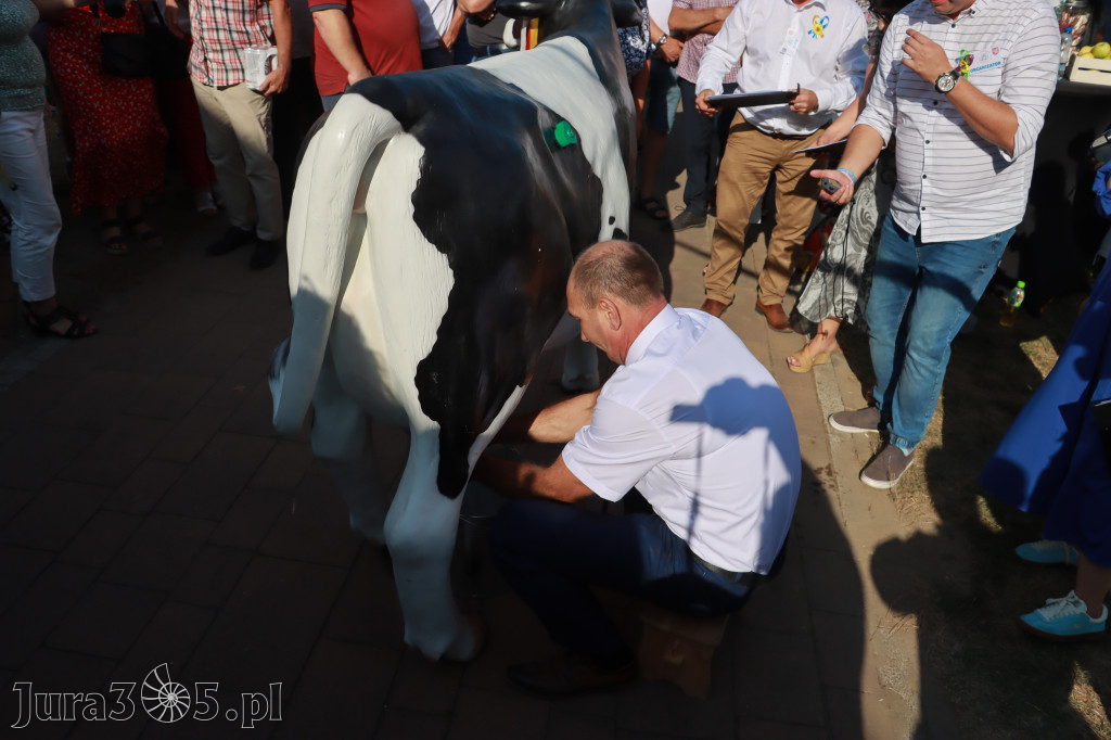 Fotorelacja II: XXV Powiatowe Dożynki w Irządzach