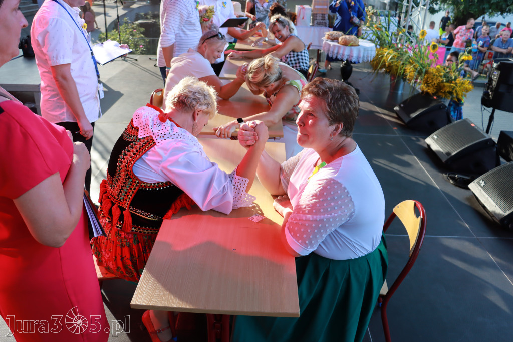 Fotorelacja II: XXV Powiatowe Dożynki w Irządzach