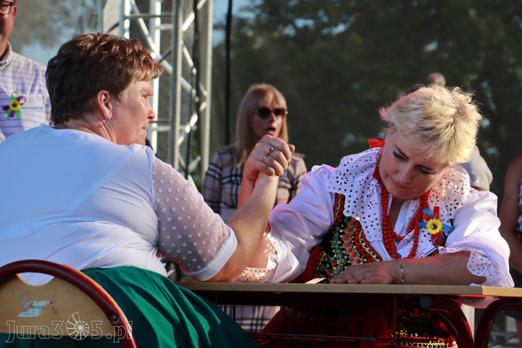 Fotorelacja II: XXV Powiatowe Dożynki w Irządzach