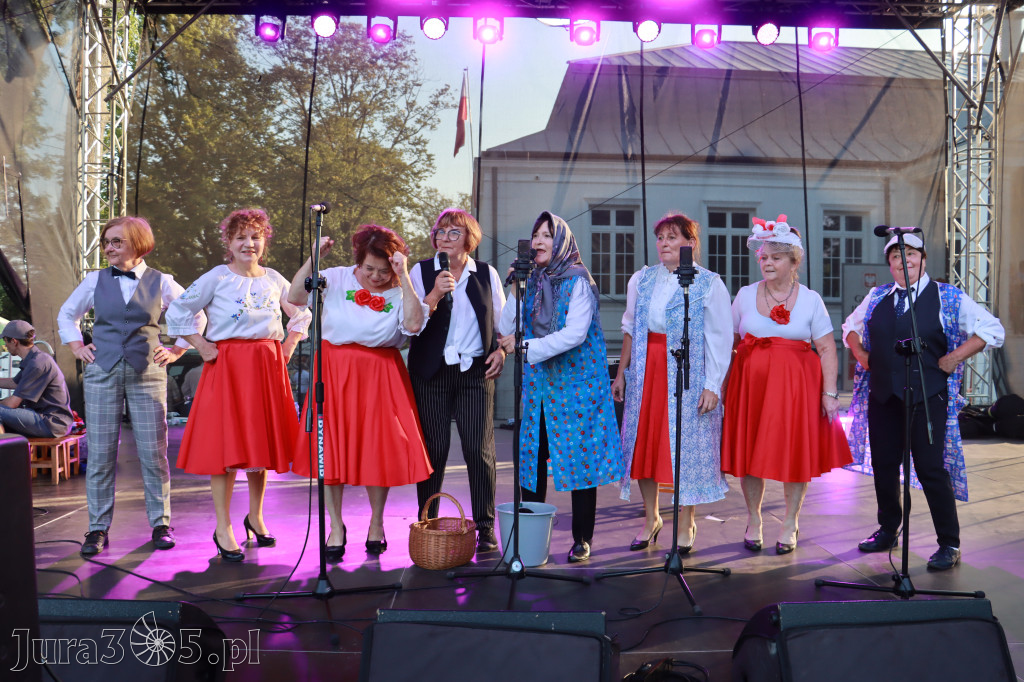 Fotorelacja II: XXV Powiatowe Dożynki w Irządzach