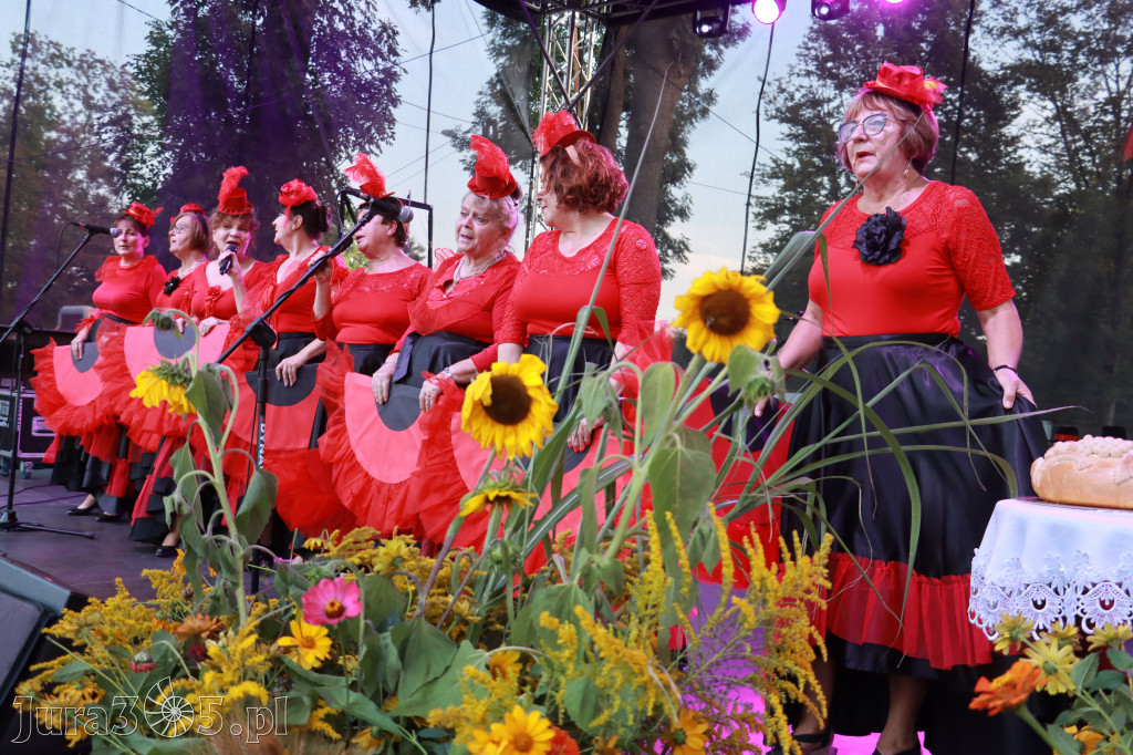 Fotorelacja II: XXV Powiatowe Dożynki w Irządzach