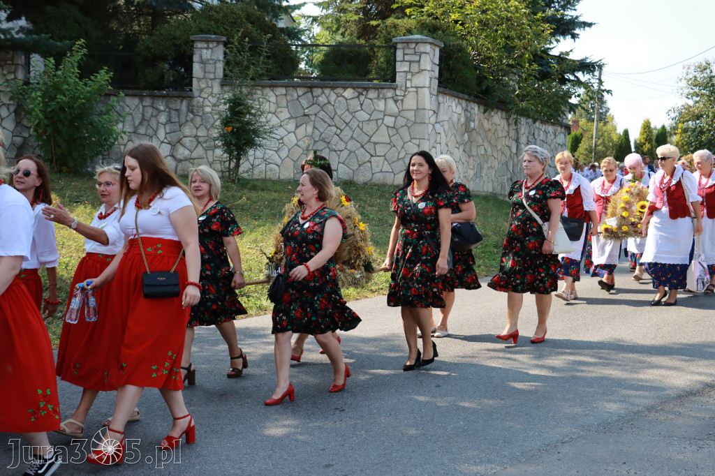 Fotorelacja Niegowa I: Dożynki Powiatowo Gminne
