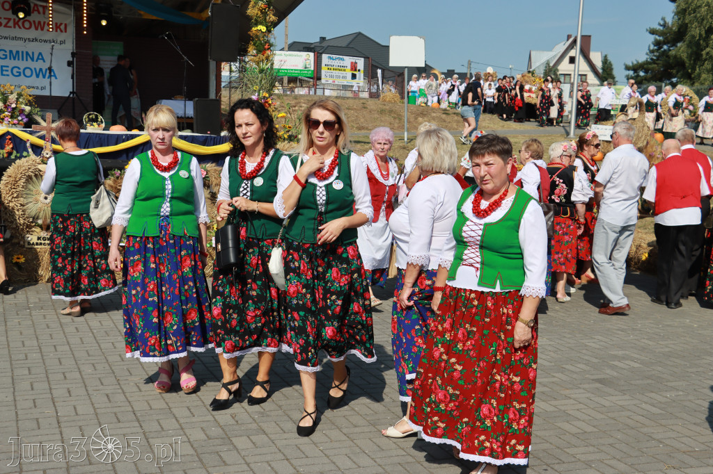 Fotorelacja Niegowa I: Dożynki Powiatowo Gminne