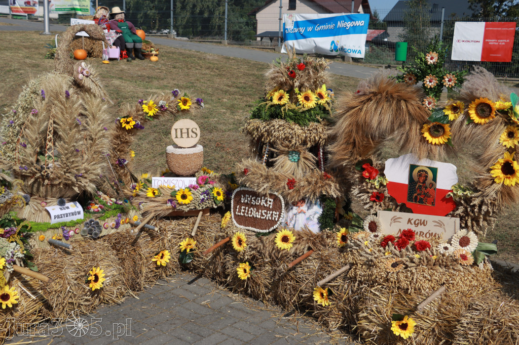 Fotorelacja Niegowa II: Dożynki Powiatowo Gminne