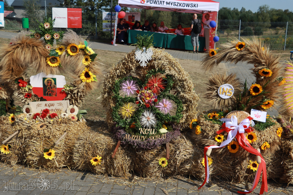 Fotorelacja Niegowa II: Dożynki Powiatowo Gminne