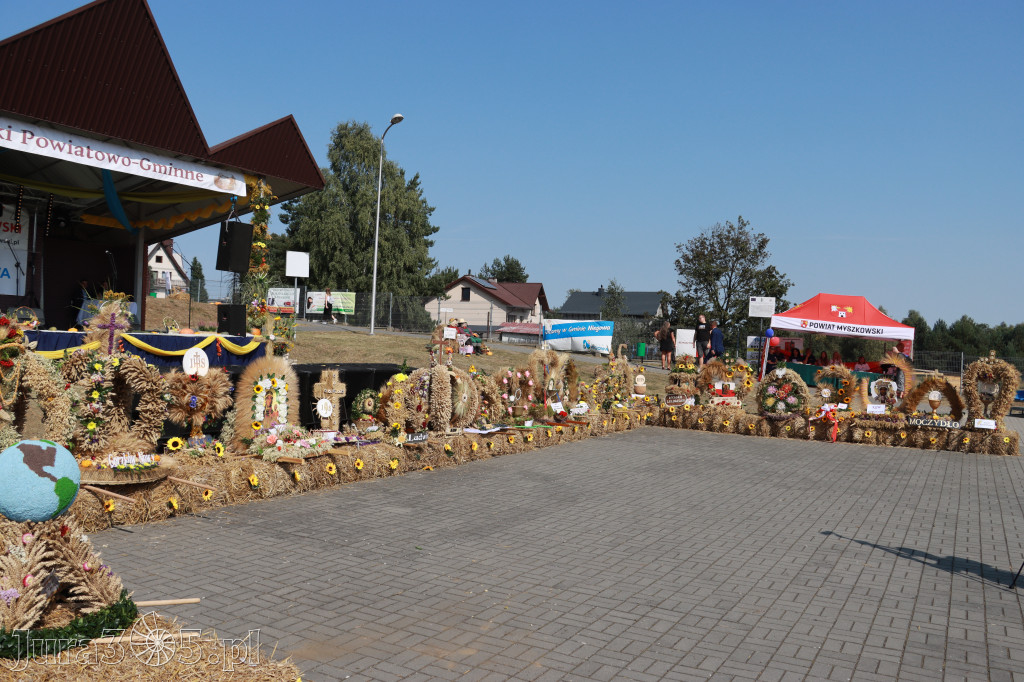 Fotorelacja Niegowa II: Dożynki Powiatowo Gminne