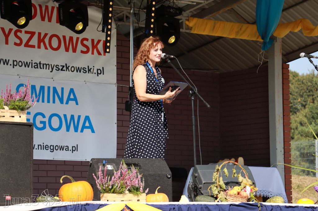 Fotorelacja Niegowa II: Dożynki Powiatowo Gminne