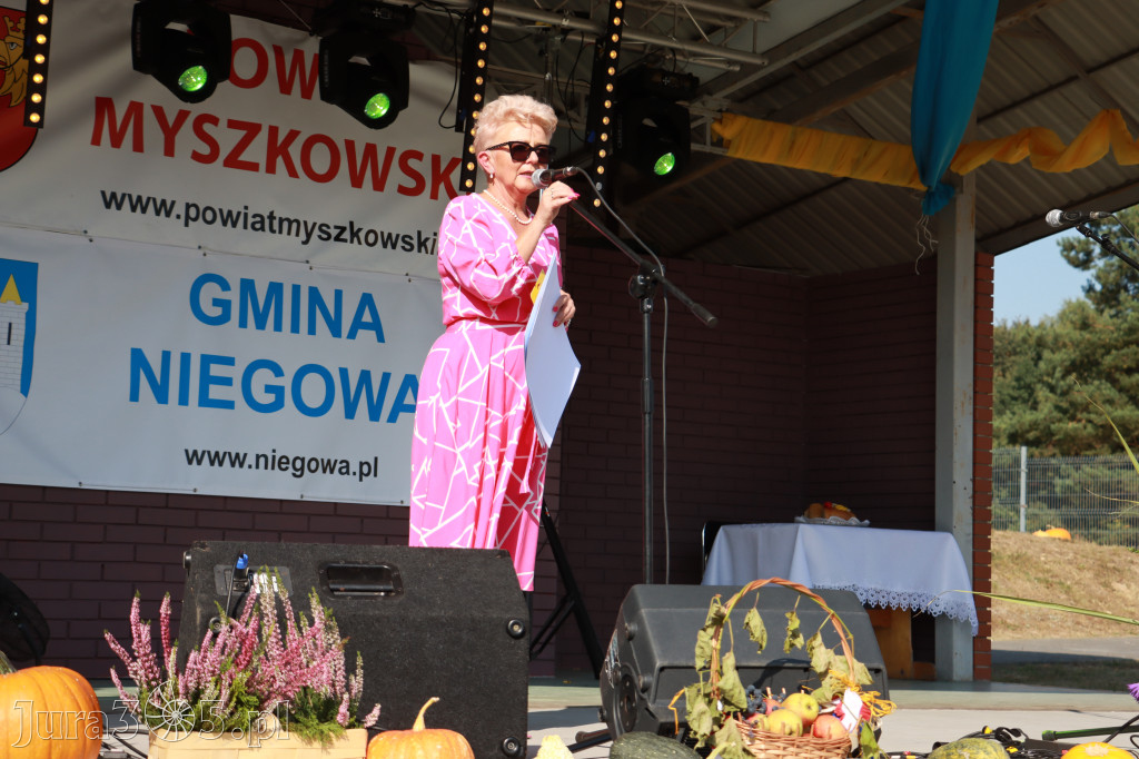 Fotorelacja Niegowa II: Dożynki Powiatowo Gminne