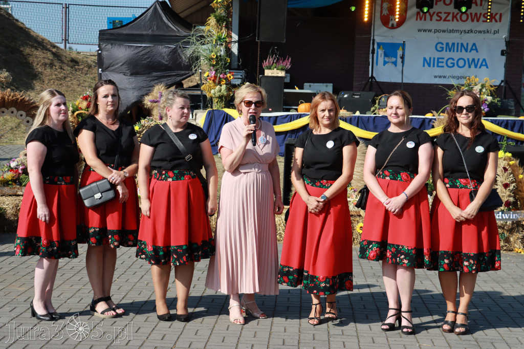 Fotorelacja Niegowa II: Dożynki Powiatowo Gminne