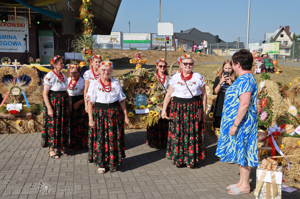 Fotorelacja Niegowa II: Dożynki Powiatowo Gminne