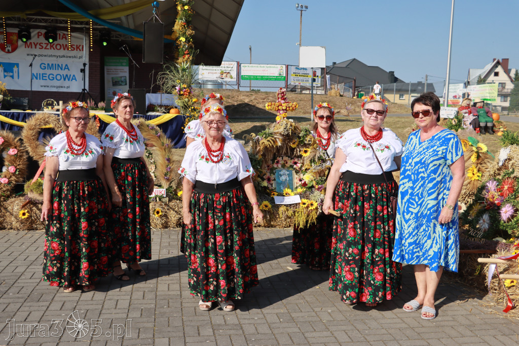 Fotorelacja Niegowa II: Dożynki Powiatowo Gminne