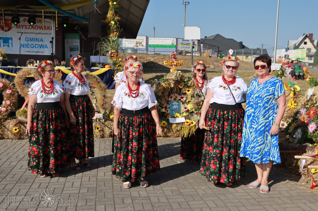 Fotorelacja Niegowa II: Dożynki Powiatowo Gminne