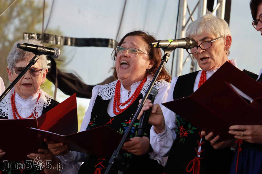 Fotorelacja Zawiercie: Jarmark Kromołowski