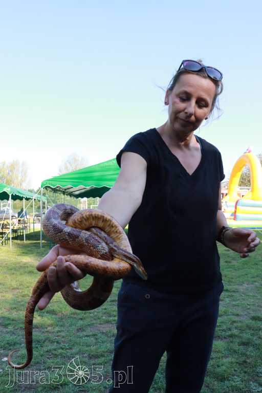 Fotorelacja: Żerkowickie Prażonki