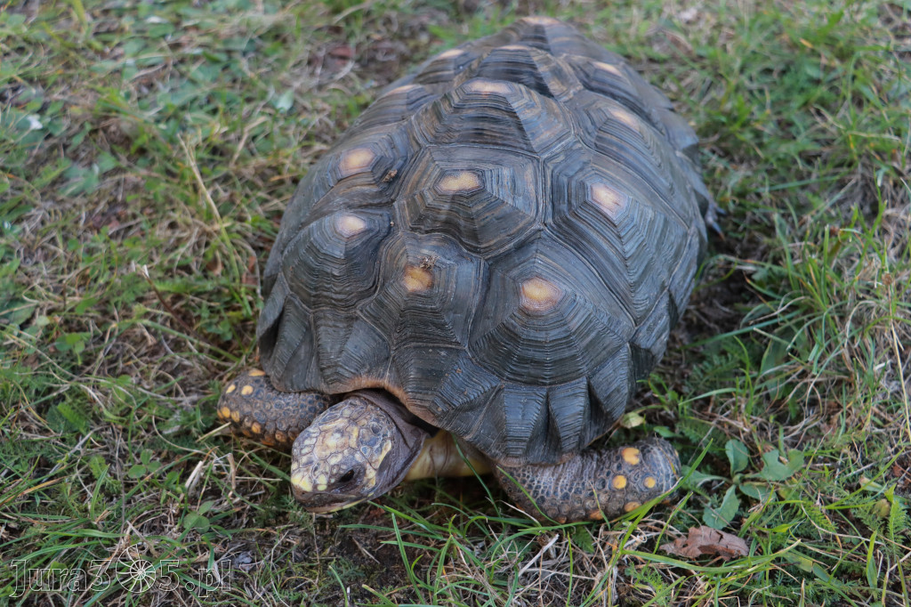 Fotorelacja: Żerkowickie Prażonki