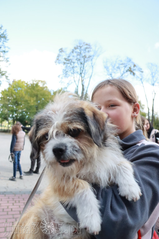 Fotorelacja: Parada Psów w Zawierciu.