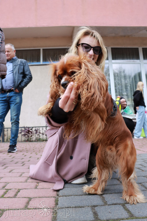 Fotorelacja: Parada Psów w Zawierciu.