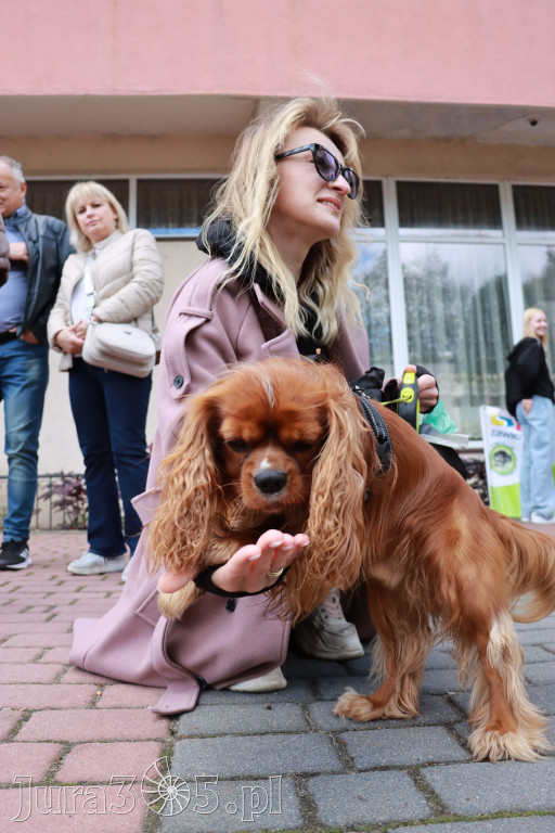 Fotorelacja: Parada Psów w Zawierciu.