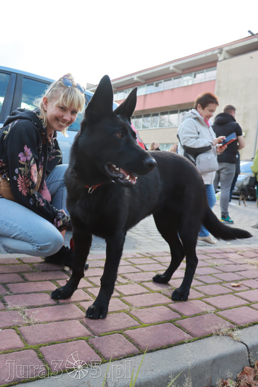 Fotorelacja: Parada Psów w Zawierciu.