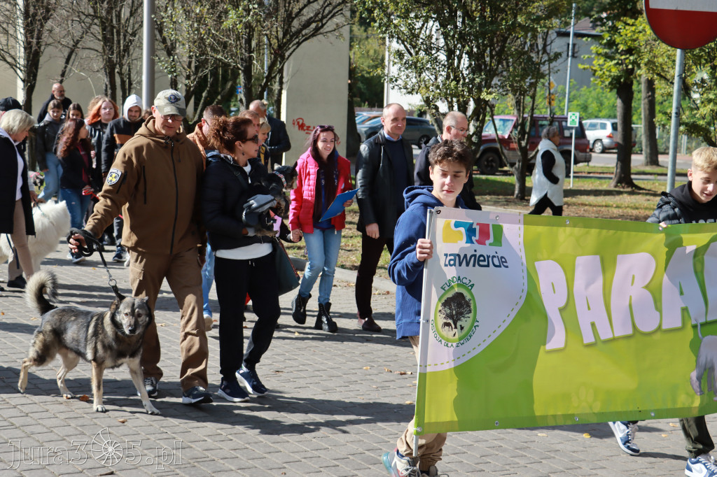 Fotorelacja: Parada Psów w Zawierciu.