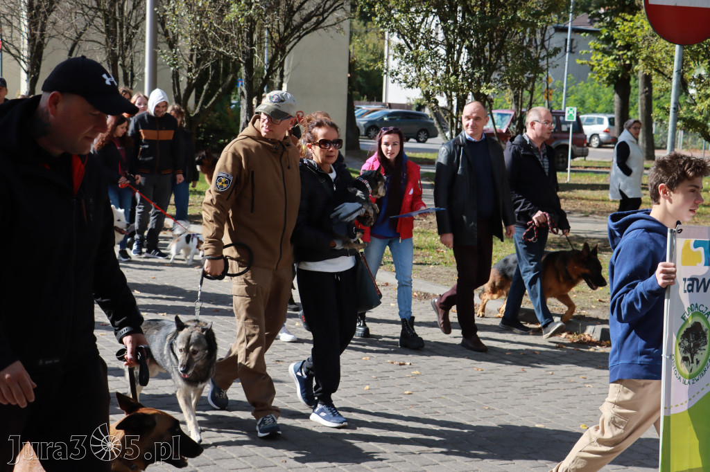 Fotorelacja: Parada Psów w Zawierciu.