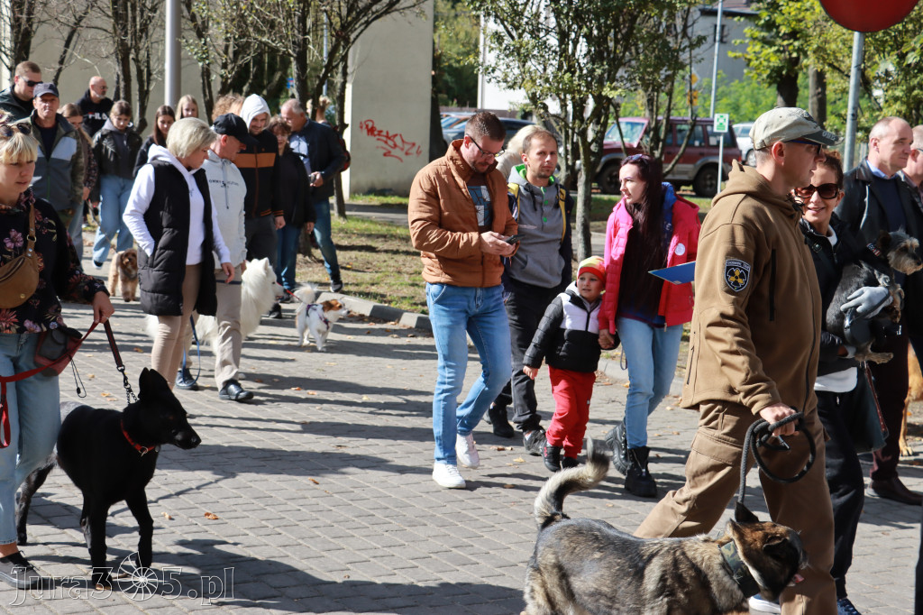 Fotorelacja: Parada Psów w Zawierciu.