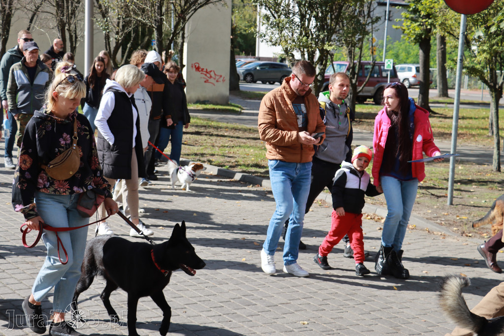 Fotorelacja: Parada Psów w Zawierciu.