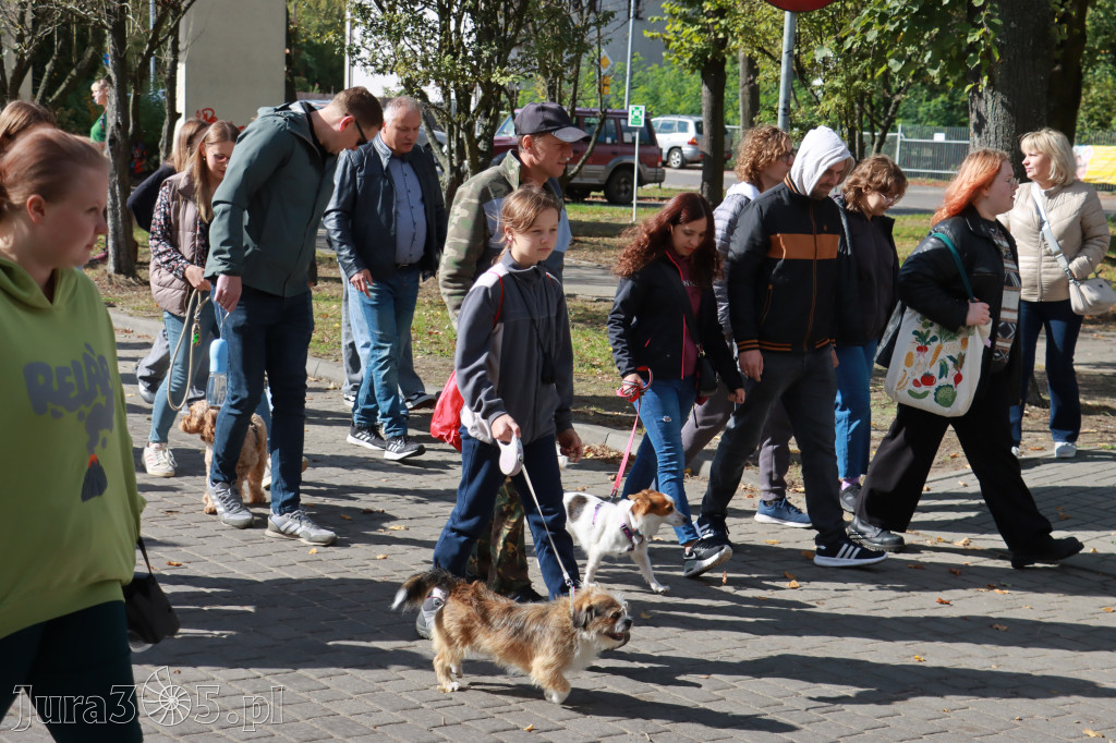 Fotorelacja: Parada Psów w Zawierciu.
