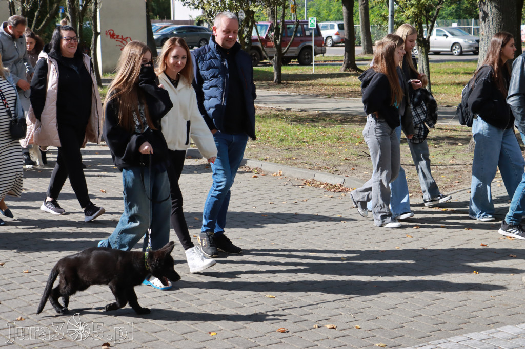 Fotorelacja: Parada Psów w Zawierciu.