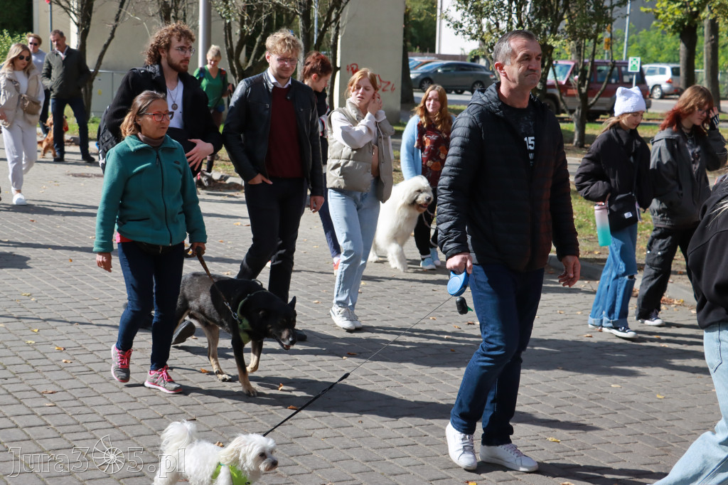 Fotorelacja: Parada Psów w Zawierciu.