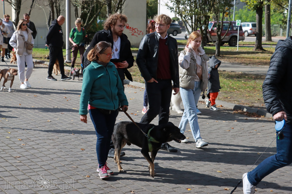 Fotorelacja: Parada Psów w Zawierciu.