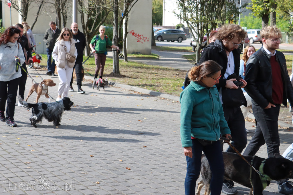 Fotorelacja: Parada Psów w Zawierciu.