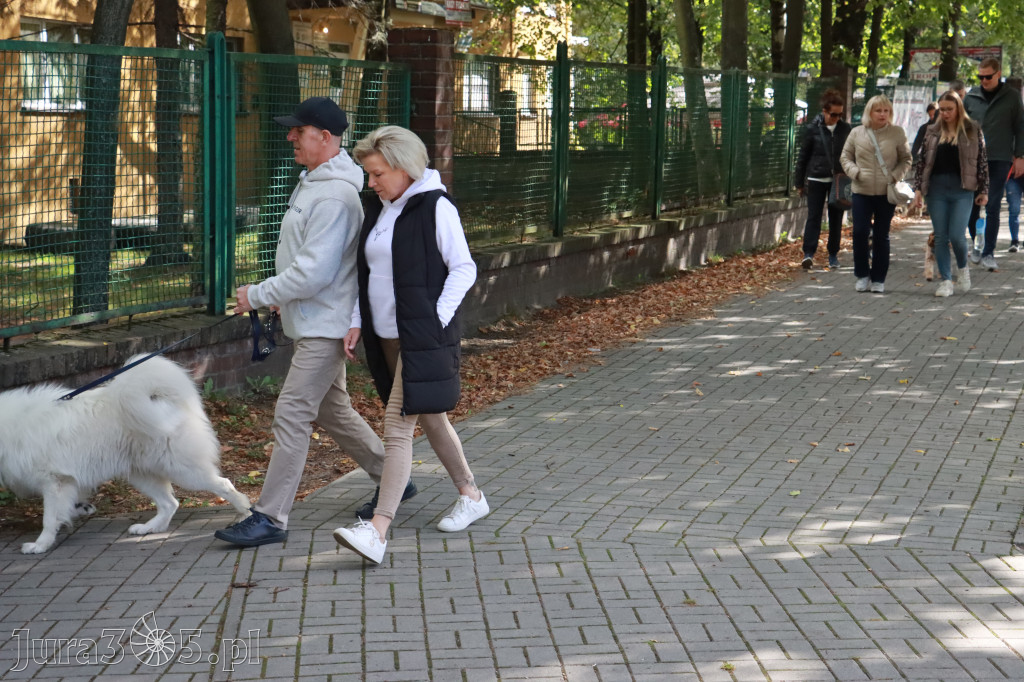 Fotorelacja: Parada Psów w Zawierciu.