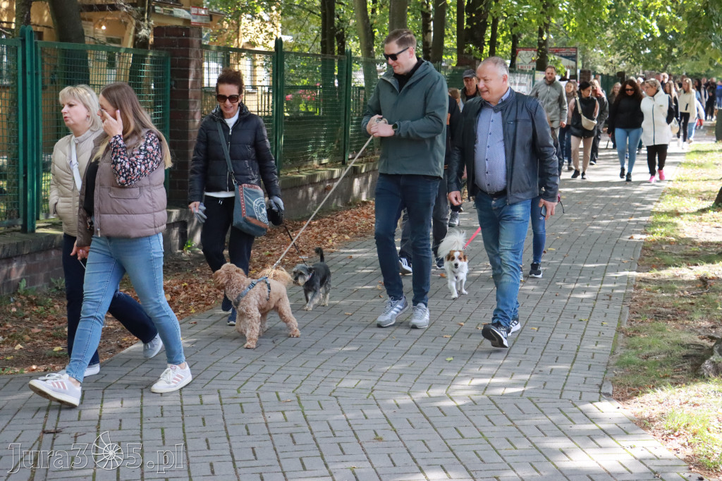 Fotorelacja: Parada Psów w Zawierciu.
